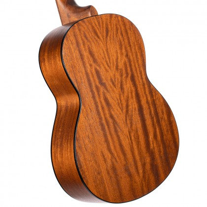 CORT AC100 GUITAR