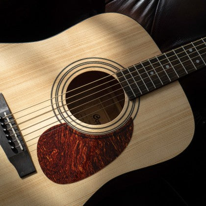 CORT Earth Pack GUITAR